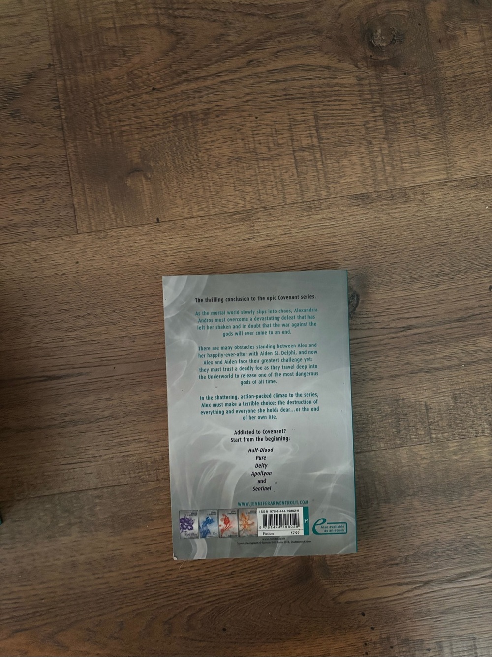 Sentinel Paperback - Picture 3 of 3